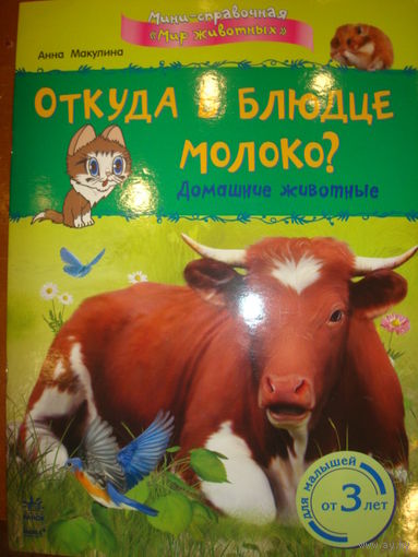 Откуда в блюдце молоко? Домашние животные