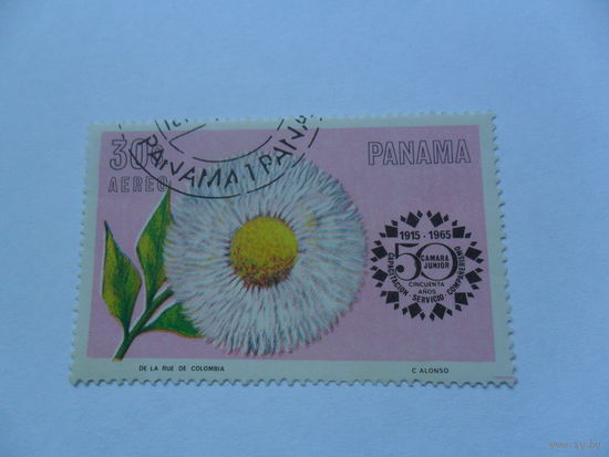 Панама, цветок