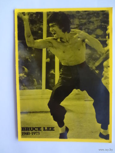 Календарик 1901-2000 г.  Брюс Ли.