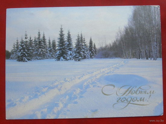 С новым годом! Чистая. 1986 года. Фото Самсоненко. *162.