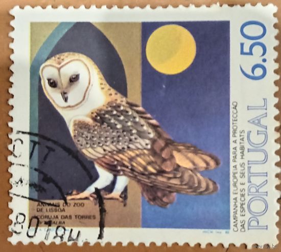 Португалия 1984. Фауна. Сова