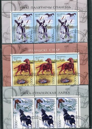 Беларусь 2010.. Охотничьи собаки. Верхняя сцепка листа
