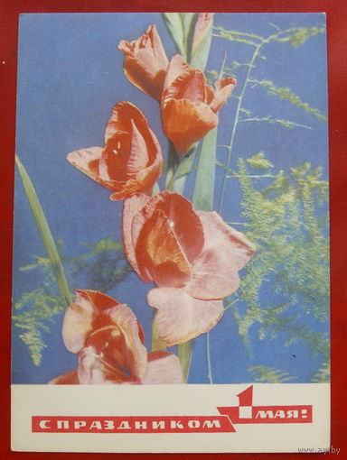 1 мая! Чистая. 1970 года. Дергилев. *225.