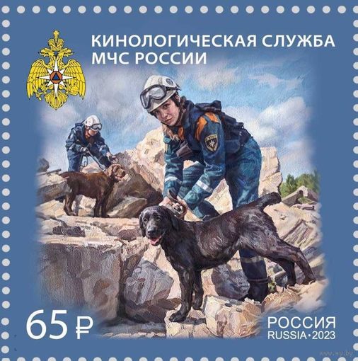 Россия-2023-3176 Кинологическая служба. Фауна: собаки. УНИФОРМА **