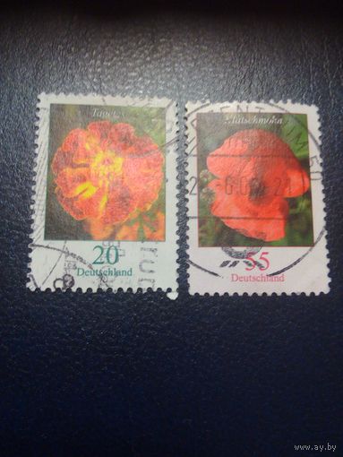 Германия. Цветы. 2005г. гашеная