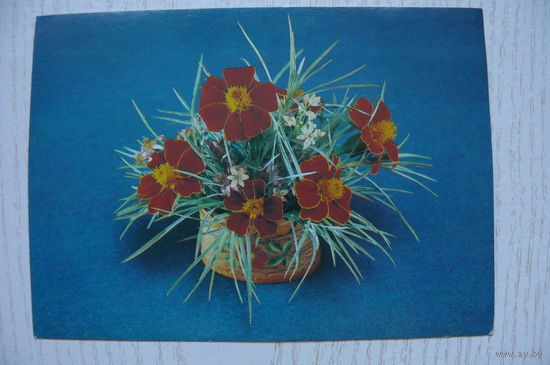 Бабайлов В., Садловская Л., Композиция из цветов; 1981, чистая.