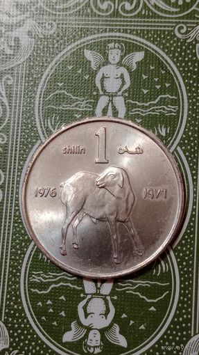 Сомали 1 шиллинг 1976 ФАО ягненок