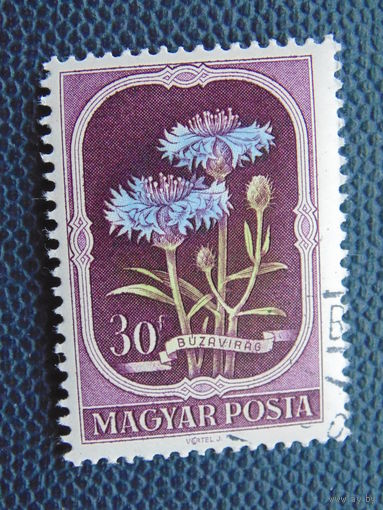 Венгрия. Флора.
