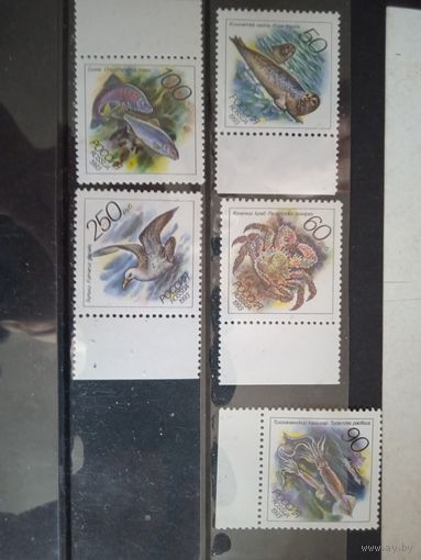 Россия фауна океана **