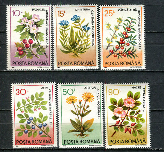 Румыния - 1993 - Цветы и ягоды - [Mi. 4866-4871] - полная серия - 6 марок. MNH.  (Лот 42Jp)-T4P17