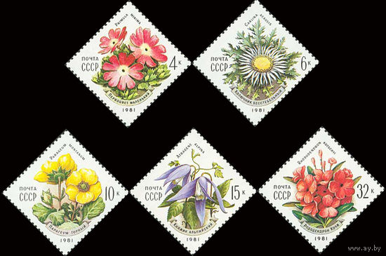 Цветы Карпат СССР 1981 год (5192-5196) серия из 5 марок