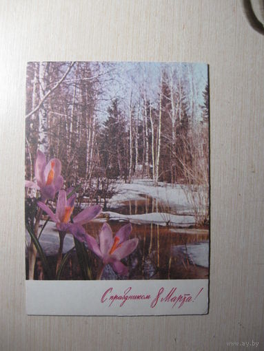 Костенко Г. 1971г.