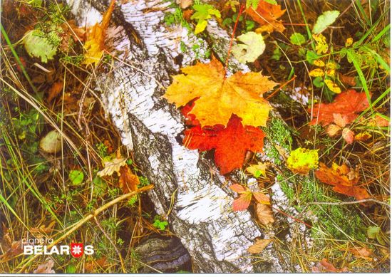 Планета Беларусь, Осень - волшебная пора года, 2019, тираж 1000