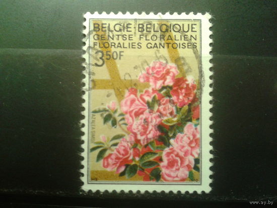 Бельгия 1970 Азалии, концевая марка