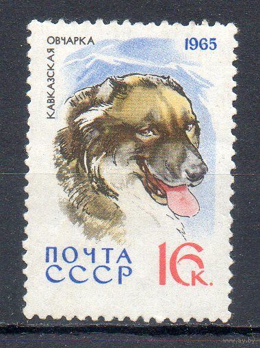 Собаки Кавказская овчарка СССР 1965 год 1 марка