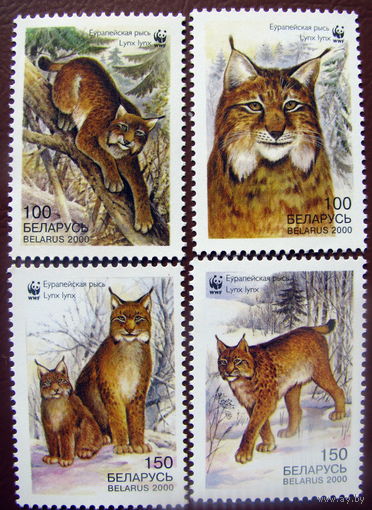 Беларусь 2000 Рыси (3)