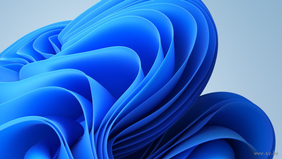 Беларусь 2004 флора ягоды Стандарт Седьмой стандартный выпуск серия ** Бум. мелован