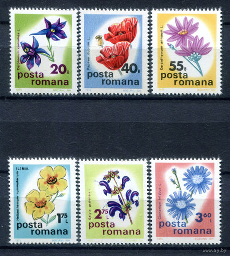 Румыния - 1975г. - Цветы. Международная ботаническая конференция - полная серия, MNH [Mi 3285-3290] - 6 марок
