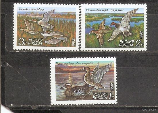 ФФ1 Россия 1992 Утки