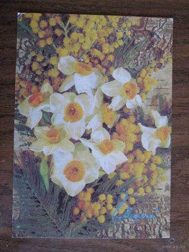 Почтовая карточка.1987г.