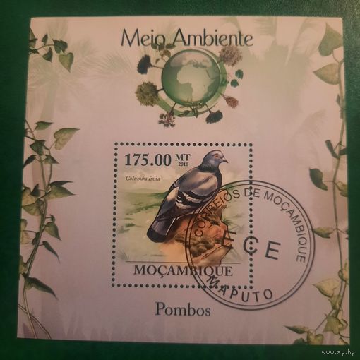 Мозамбик 2010. Фауна. Голубь. Columba Livia. Блок