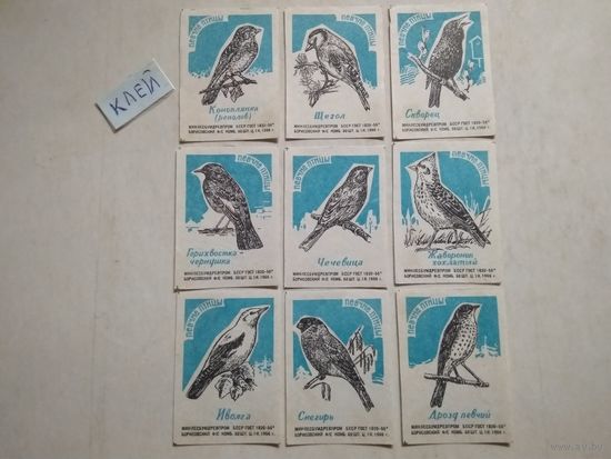 Спичечные этикетки ф.Борисов. Певчие птицы . 1966 год