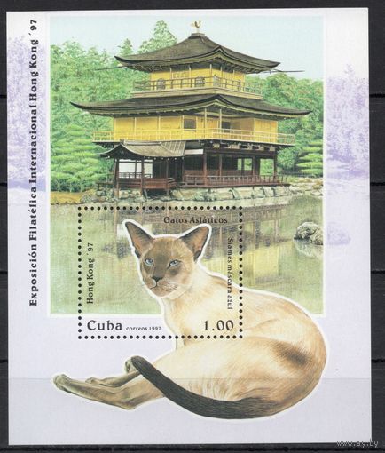 Куба 1997. Сиамская кошка блок  (3993)