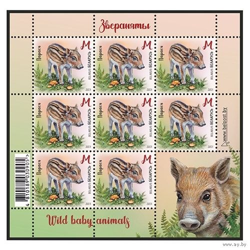 Беларусь 2021 малый лист  "Поросенок" MNH