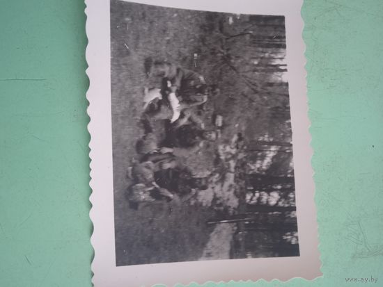 Немцы и дичь