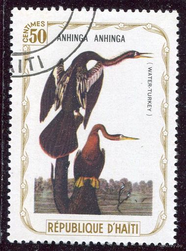 Гаити. Фауна. Джон Одюбон. Птицы. Американская змеешейка  50