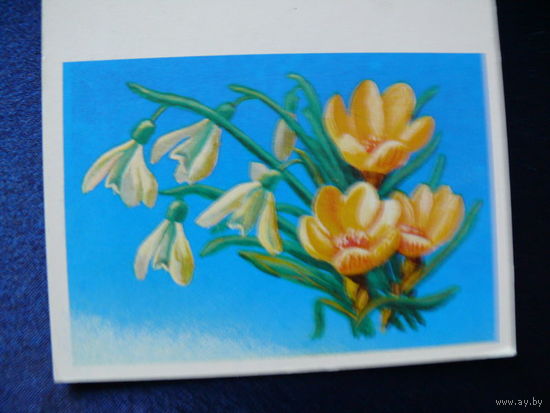 Коломиец М., 8 Марта, 1985, двойная, чистая, мини-формат.