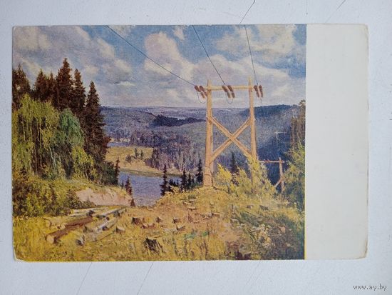 1952. Анохин. Просека