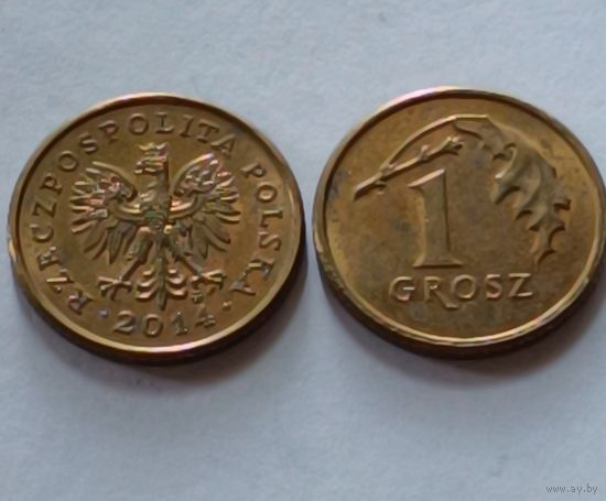 Польша. 1 грош 2014 года.