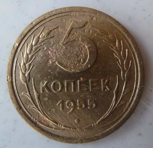 5 копеек 1955