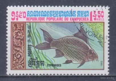 [634] Кампучия 1983. Фауна.Рыбы.Карп. Гашеная марка.