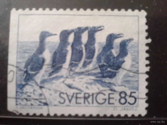 Швеция 1976 Стандарт, птицы