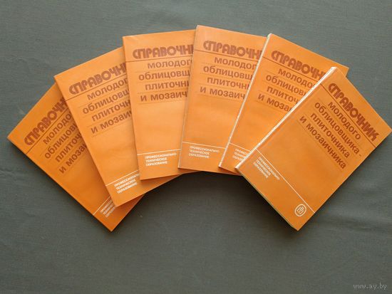 Справочник молодого облицовщика-плиточника и мозаичника, цена за одну книгу (3841)