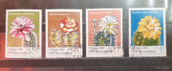 Болгария. 1980 год. Флора. Кактусы (1562)