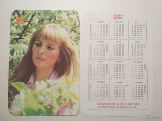 Карманный календарик. Страхование. 1987 год