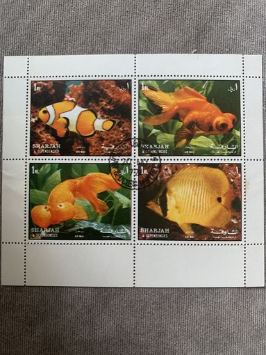 ОАЭ 1972. Шарджа. Коралловые рыбки