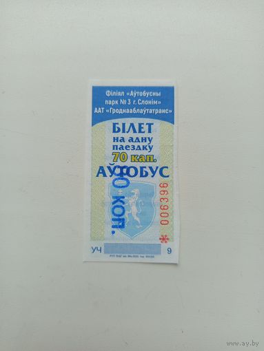 Билет Слоним