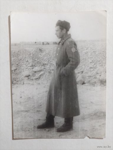 Фото в коллекцию