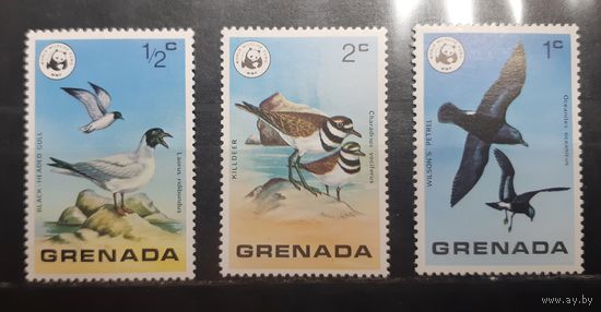 Гренада. Фауна. Птицы (374)
