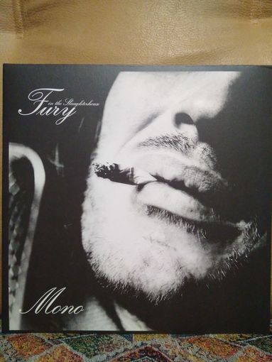 Fury In The Slaughterhouse – Mono, LP 2023 farbiges, Germany