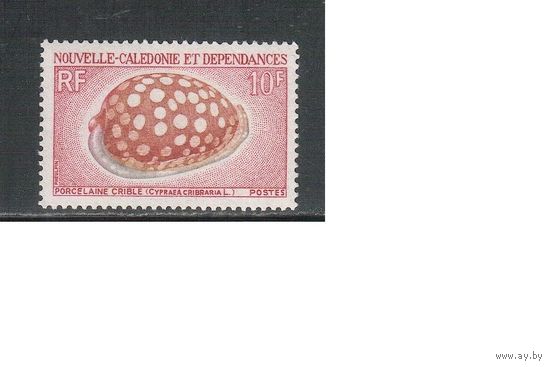Новая Каледония-1970(Мих.486 )  **  , Морская  Фауна,Раковины