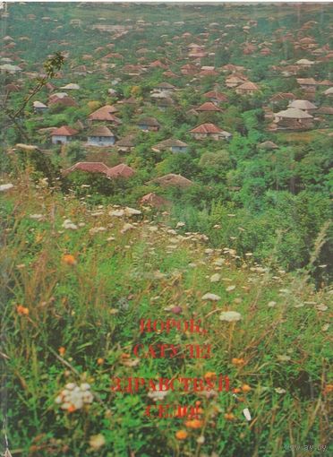 НОРОК , САТУЛЕ ! ЗДРАВСТВУЙ , СЕЛО ! ФОТОАЛЬБОМ. На просторах интернета книгу в продаже нигде не нашел. Почтой не высылаю.
