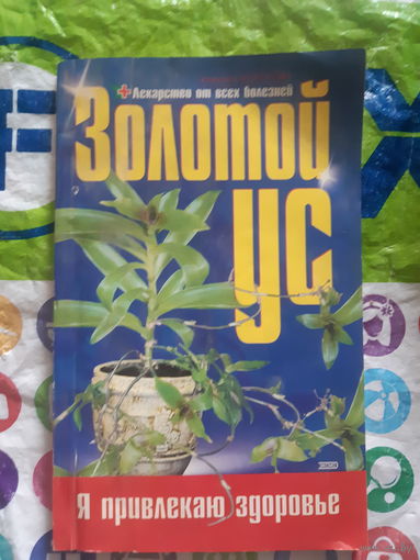 Золотой ус