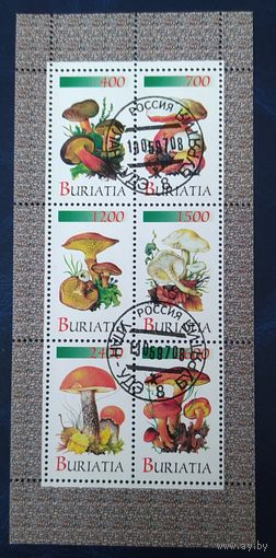 BURIATIA 1997 Грибы