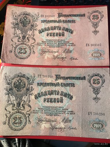 25 рублей.цена за две.