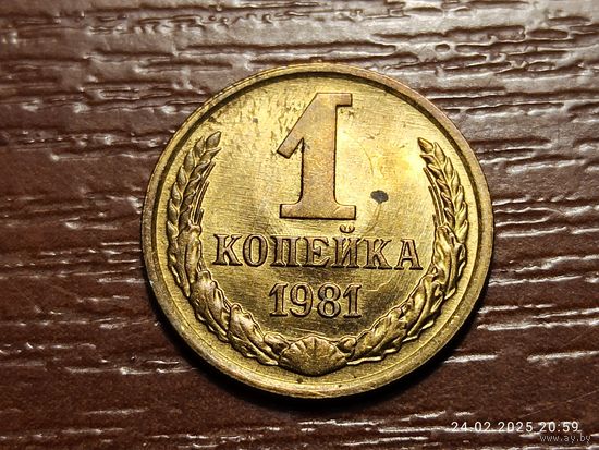 1 копейка 1981 брак, холостое соударение